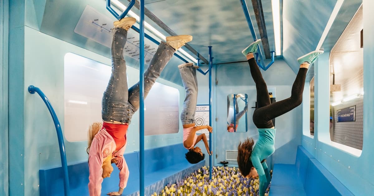 The Upside Down: Entry Ticket - Image 2